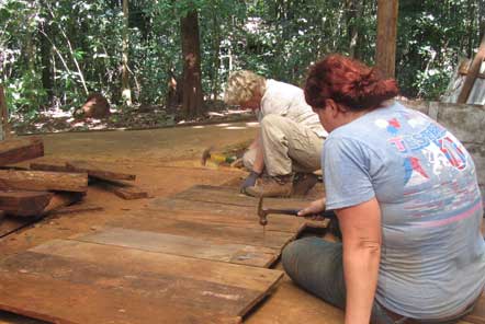 Making pig beds