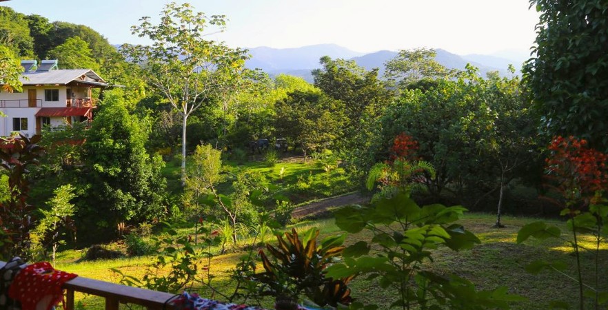 view from cottage