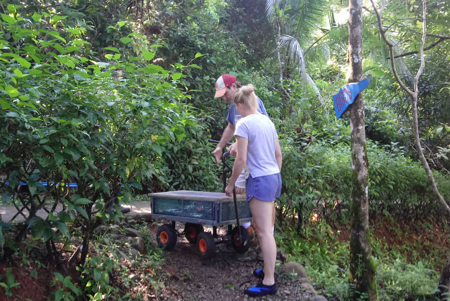 Volunteers working in the sanctuary