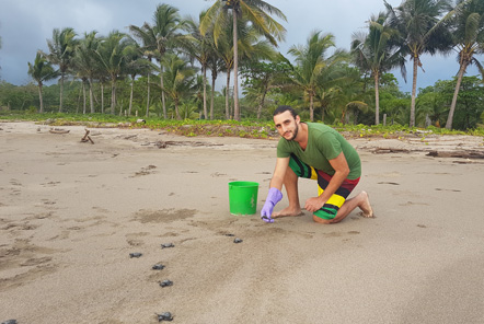 Releasing hatchlings