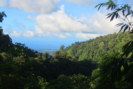 We now have exciting new projects in Costa Rica!