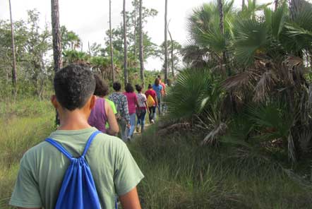 Conservation group walk