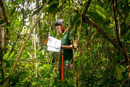 Man looking at his guide in the jungle