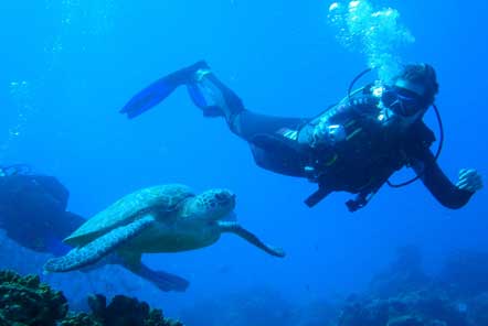 Scuba diver next to a turtle 