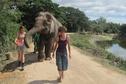 Ladies walking with an elephant by the trees and lake 