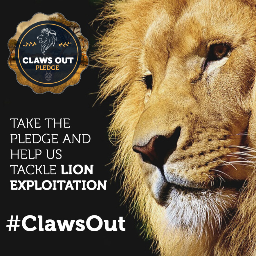 Claws Out Campaign