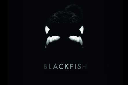 Best documentaries for wildlife and conservation lovers