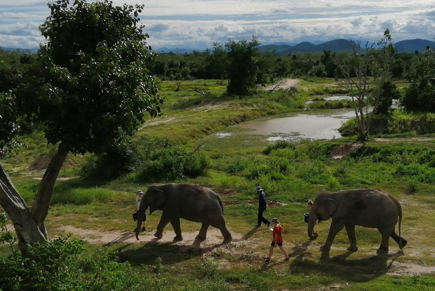 Complete your DofE Gold Award with elephants in Thailand!