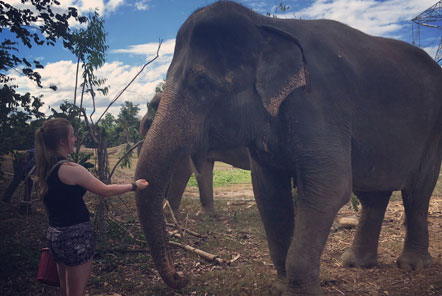 Volunteer with elephant