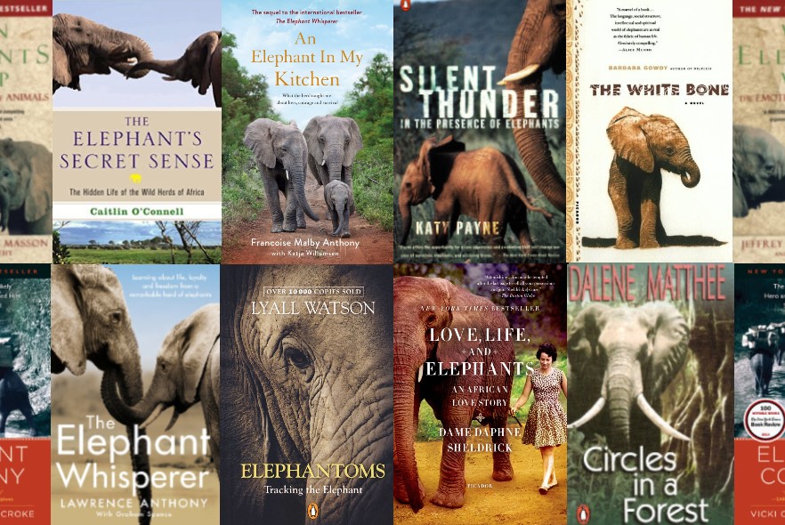 An elephant lover’s reading list 