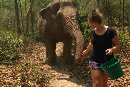 Volunteer leading an elephant along a forest trail
