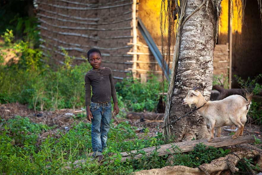 Boy in Ghana next to goat