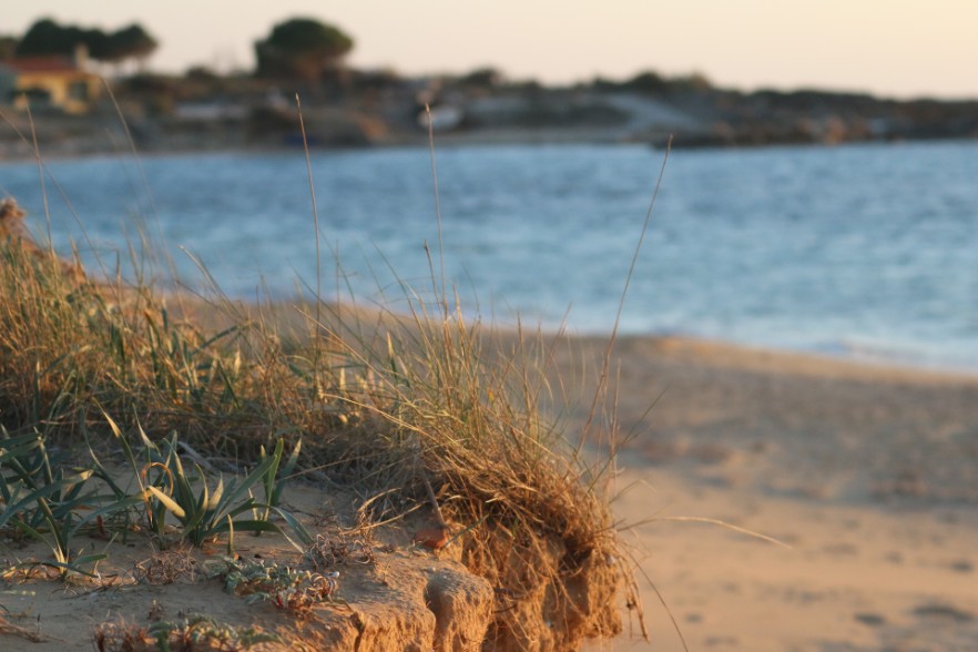 sand dunes