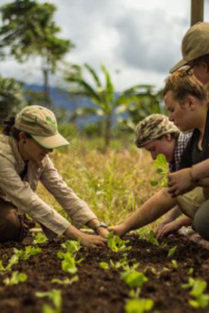 Amazon Conservation in Peru