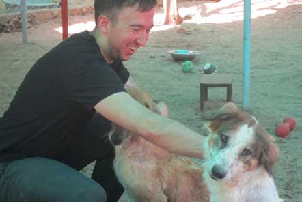 Volunteer at the Animal Rescue project in India