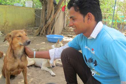 Raj, the volunteer coordinator at the Animal Rescue centre