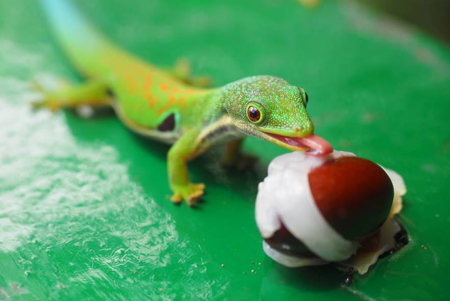 New Discoveries & Achievements in Madagascar!