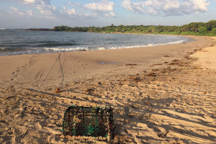 Madagascar beach