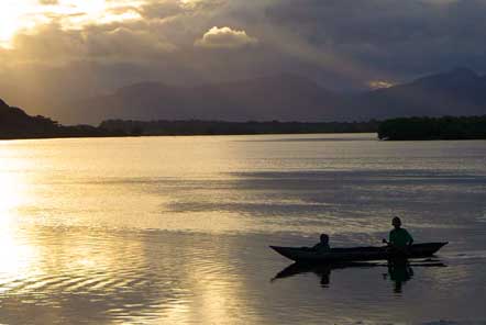 Madagascar Conservation