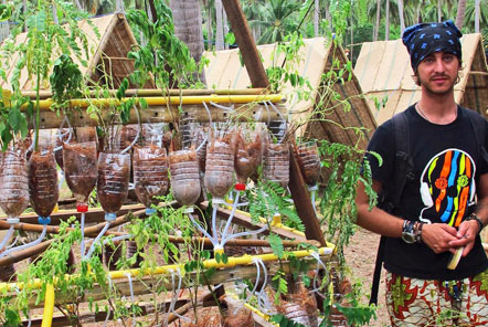 A hydroponic garden