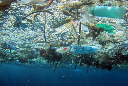 Plastic in the oceans