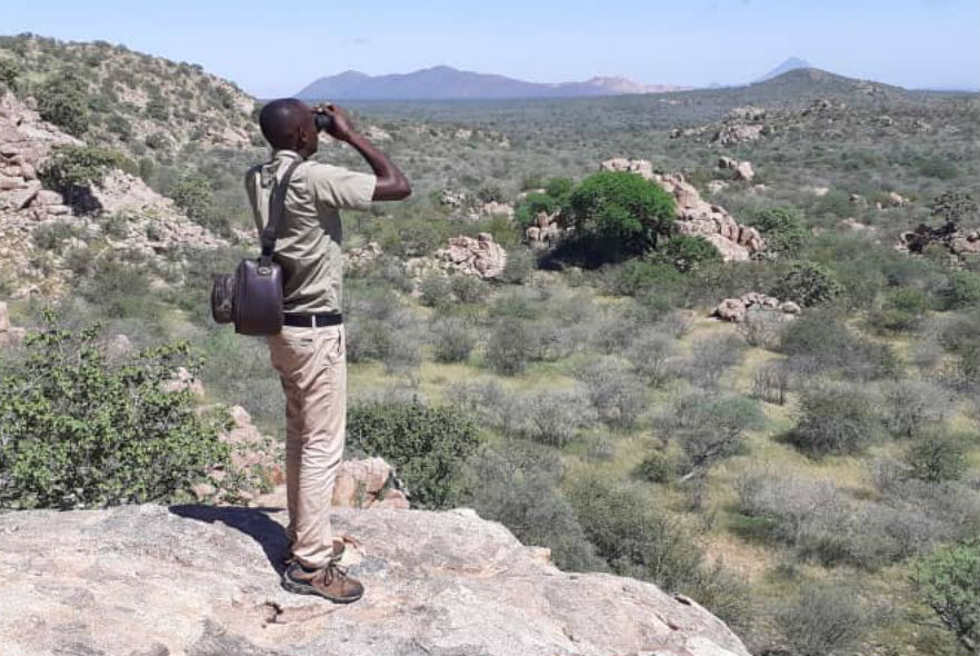 Tracking desert elephants