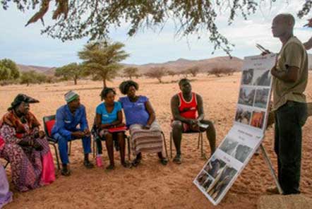 Presentation about elephants outside 