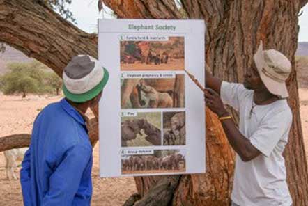 Men looking at a poster called Elephant Society with pictures