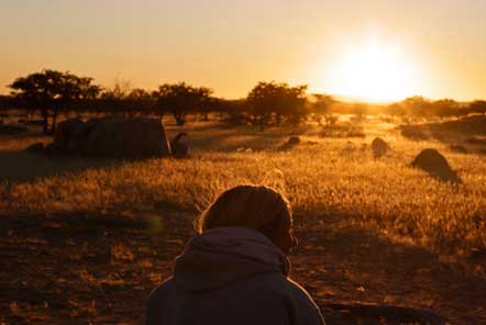 Desert Elephant Conservation Volunteering in Namibia