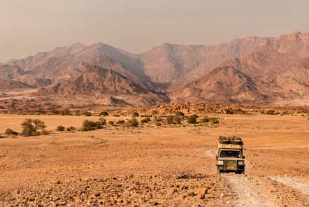 Desert Elephant Conservation Volunteering in Namibia