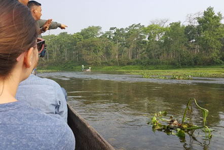 Canoe in Chitwan