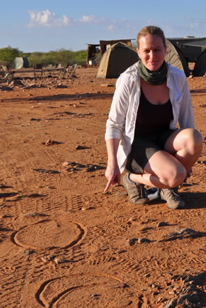 Elephant Conservation in Namibia, Africa