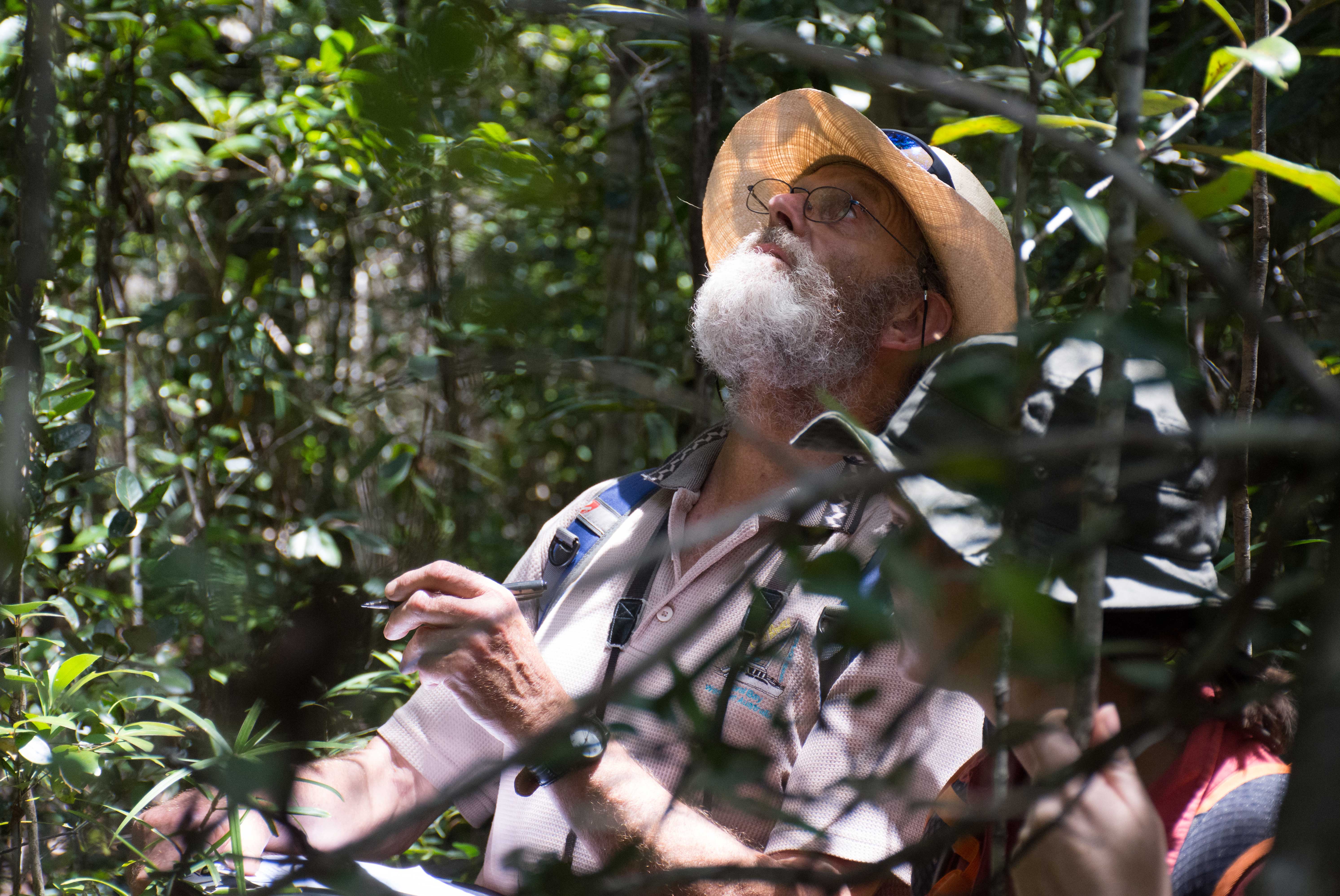 Man with grey beard and hat looking up in forest 