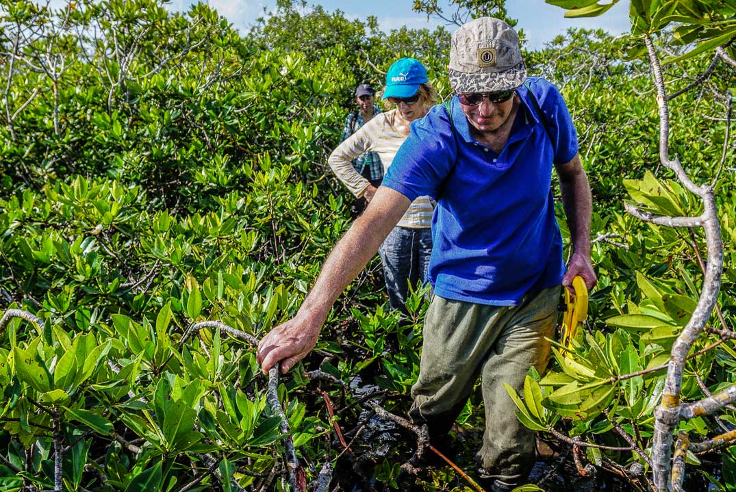 Mid 60s volunteers hiking through the jungle 