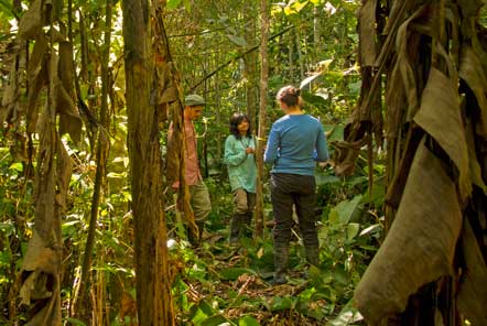 Research in the amazon jungle 