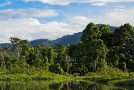 Research in the amazon jungle 