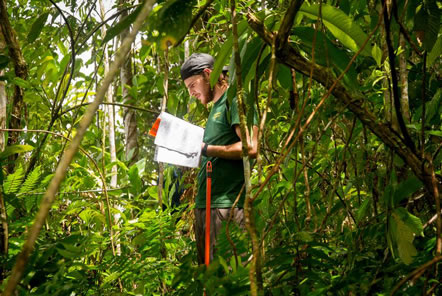 Peru Amazon Conservation