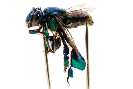 New Amazon research - How to assess people’s impact on nature?