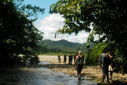 Amazon Conservation in Peru