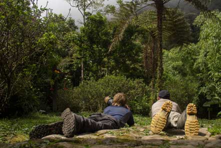 Amazon Conservation in Peru