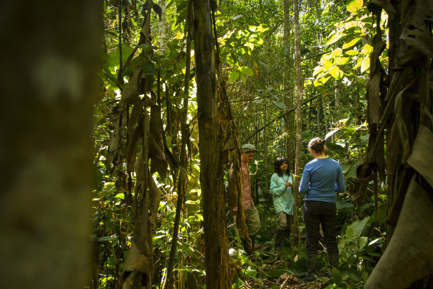 amazon conservation 