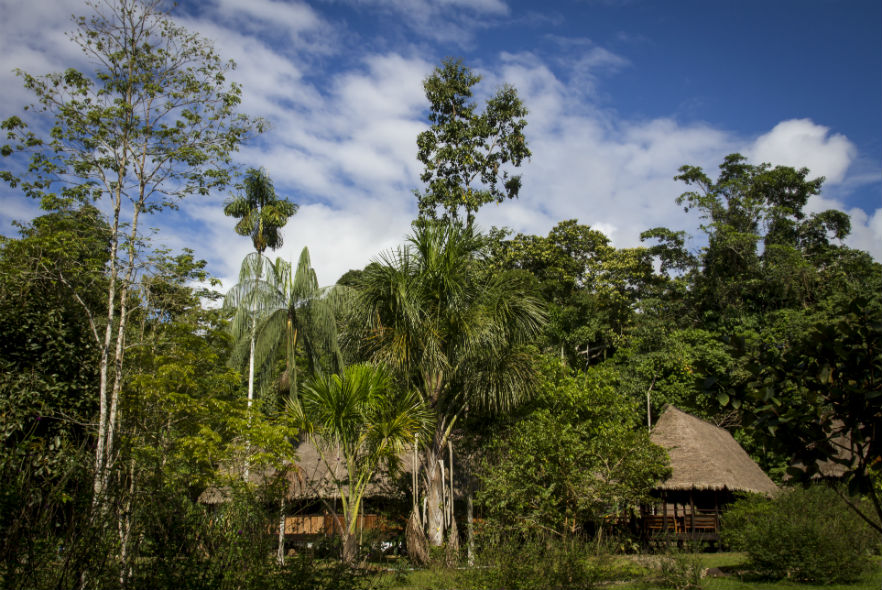 Volunteer and Intern accommodation at the research base in the jungle