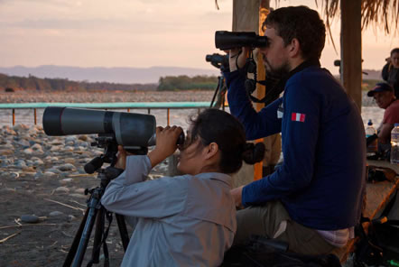 Volunteers watching parrots with binoculars