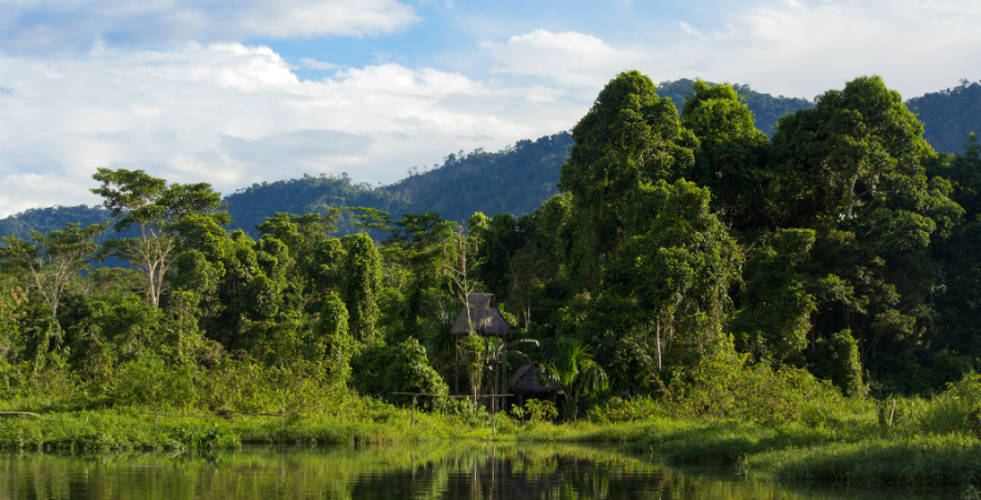 Amazon Conservation location