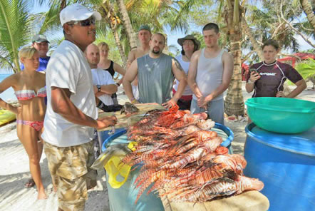 Freshly caught Lionfish