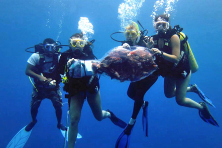 Collecting lionfish