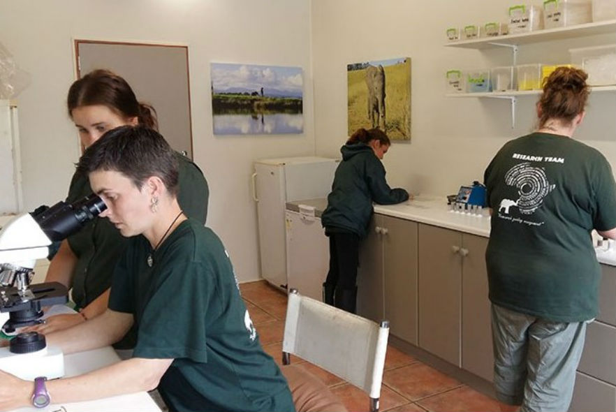 Volunteers using microscopes 