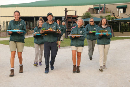 Volunteers carrying food