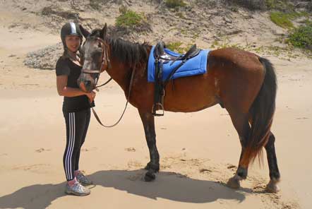 Horse Rescue in South Africa