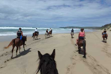 Beach ride